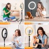 TODI TODI 12" Ring Light with 63" extendable Tripod Stand,