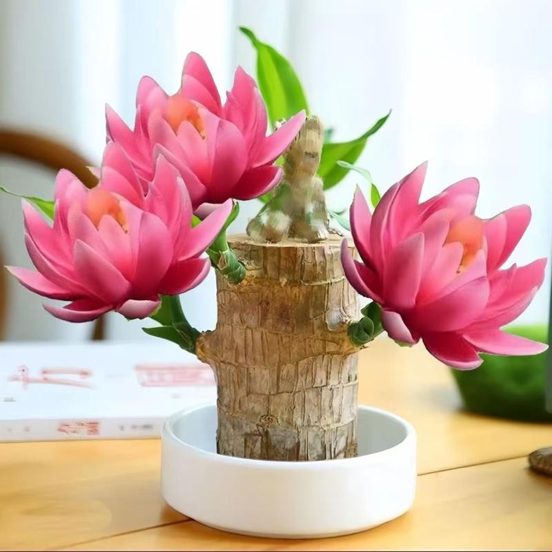 Spin Mop Head Replacement & Shower Floor Scrubber，Compatible with Ocedar