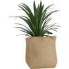 Biodegradable Grow Pot Nursery Pots - Growing Plants - Flowers