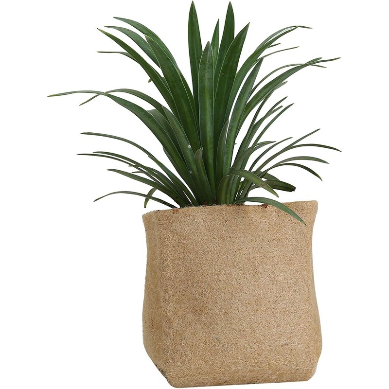 Biodegradable Grow Pot Nursery Pots - Growing Plants - Flowers