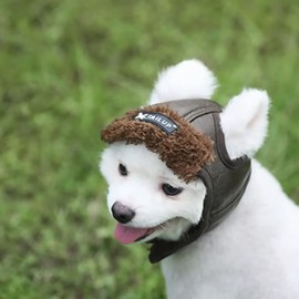 ITODA Dog Trapper Hat Winter Dog Hat with Ear Holes Aviator Hat Pet Winter Hat Adjustable Dog Cap PU Leather Dog Hat Warm Wind Protection Pet Hat Outdoor Fur Hat Puppy Cat