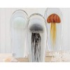 Dynasty Gallery Tall Orange Jellyfish Glow in The Dark Glass