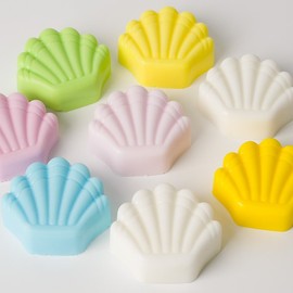 몰드46번 조개 8구 몰드 Mold No. 46 Shell 8-Cavity Mold