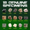 Rock & Stone Collection 15 PCS with Collector Box, STEM