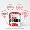 SAN Performance Creatine 600g – Supports Muscle Growth and Athletic
