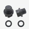SPX1700FG Pool Pump Pipe Plug with Gasket Replacements Fits for