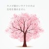 STYLE JAPAN Small Laundry Board, Sakura, W 4.7 x D
