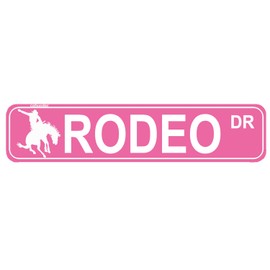 Rodeo Sign, Rodeo Fan, Rodeo Participant, Rodeo Gift, Cowboy Cowgirl Gift, Horse Show Lover Street Metal Sign for Home Patio Garden Bar Farm House Garage Pink Wall Decor 16 X 4 Inch