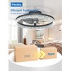 Passky 19.7” Low Profile Ceiling Fan with Lights and Remote,