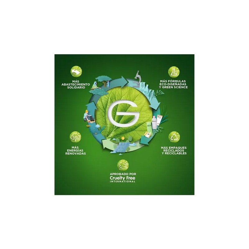 Shampoo Garnier Fructis Stop Caída Crece Fuerte 650 Ml