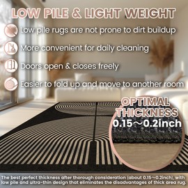 Washable Rainbow Easy Jute Rug, 5x7 Outdoor Indoor Patio Modern Geometric Contemporary Large Rugs, Low Pile Lightweight Non Slip Carpet Mat for Living Dining Room Bedroom Classroom Backyard Farmhouse