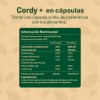 🍄⚡ Mega Cordyceps | 200 Cáps | VitalBotanics | Energía,