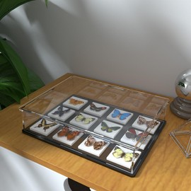 QIMOND Acrylic Display Case for Book, Clear Flat Acrylic Box for Displaying Books, Medals, Stamps, Collectibles and Cards，10.6" L x 8" W x 2.4" H