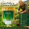 WOTIHA Dried Stevia Leaves, 100% Whole Natural Leaves, Zero Calorie