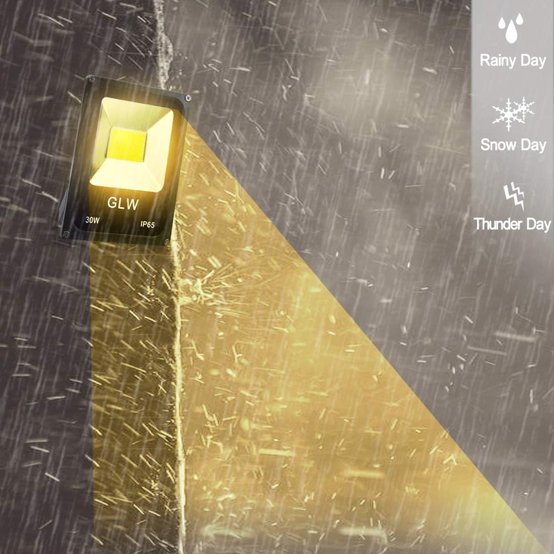GLW 30W LED Flood Light 12V~24V AC/DC Outdoor Landscape Lighting