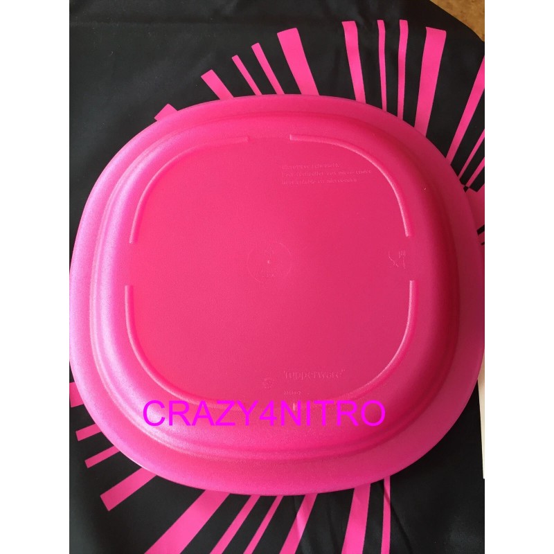 TUPPERWARE NEW LARGE MICROWAVE SAFE LUNCHEON PLATES BPA FREE SHIP