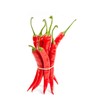 Todd's Seeds Cayenne Long Red Thin Hot Pepper Heirloom Seed
