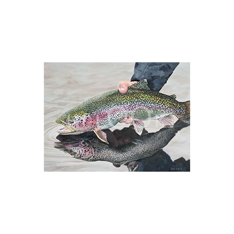 Hi-Look Microfiber Cleaning Cloth - Rainbow Trout
