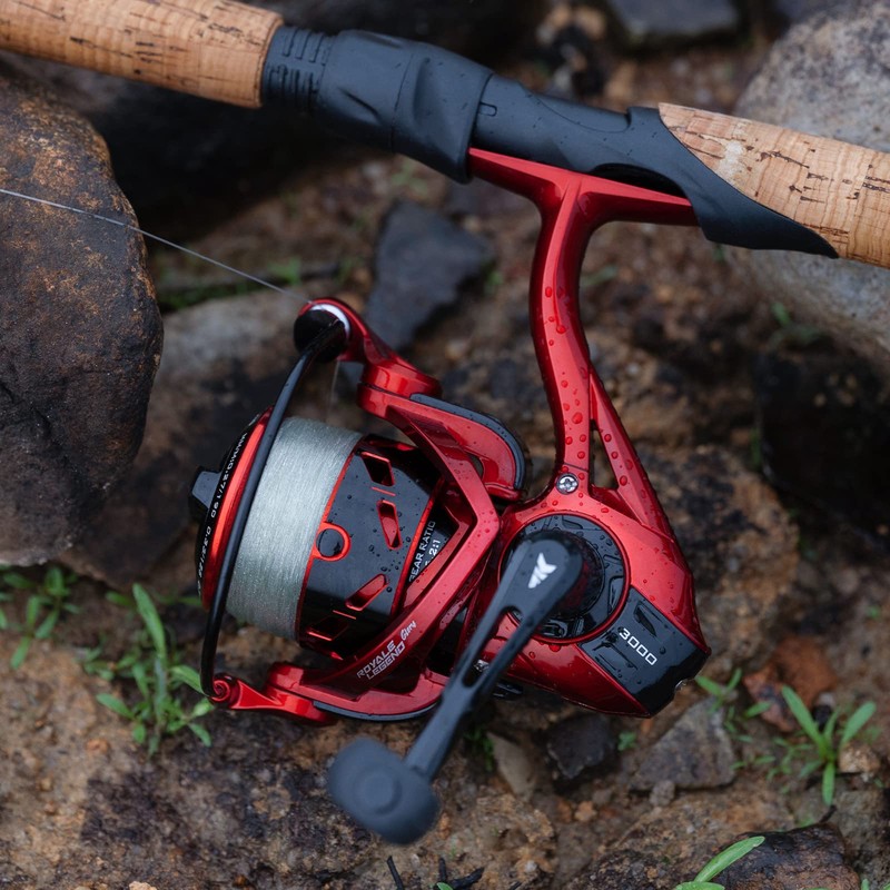KastKing Royale Legend Glory Spinning Fishing Reel, 6.2:1 High-Speed, Fresh