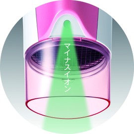 Panasonic EH-NE38 Ionity Hair Dyer