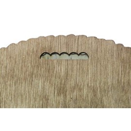 Orange Kat 82nd Airborne Division Plaque with American Flag