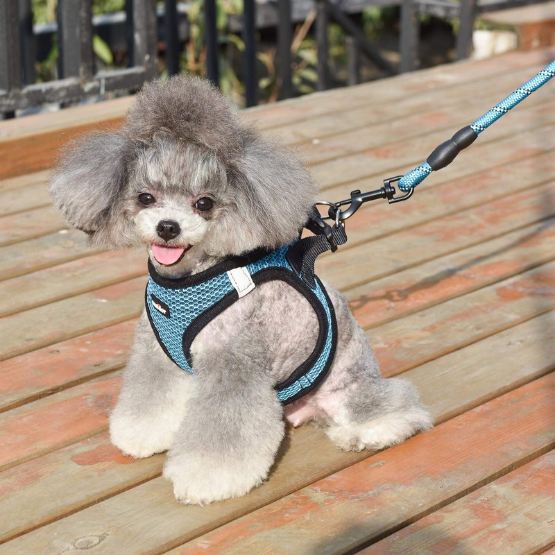 matilor Dog Harness Step-in Breathable Puppy Cat Dog Vest Harnesses