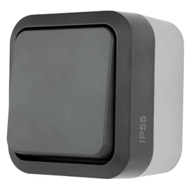 REV 0004310400 AquaStorm Push-Button Light Switch, Wet Room, IP55 Single Pole, Flush-Mounted, Anthracite