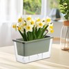 Self-Watering Indoor Planter, Indoor Planter Box, Garden Floral Cultivation Box