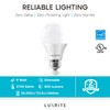 LUXRITE A19 LED Bulb 60W Equivalent, 2700K Warm White, 800
