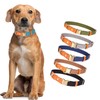 Haoyueer Nylon Dog Collar with Metal Safety Buckle, Adjustable Leather
