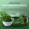 Pure Iam Worldwide Amazing Pure Organic Barley Powdered Drink Mix
