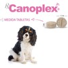 Canoplex Jr. 30 Tabletas | Multivitamínico para Perros en Crecimiento