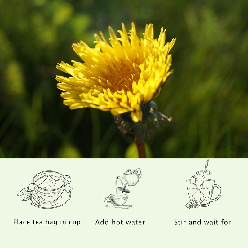 Dandelion Wolfberry Tea 15 Bags 1 Pack, Kidneys & Liver