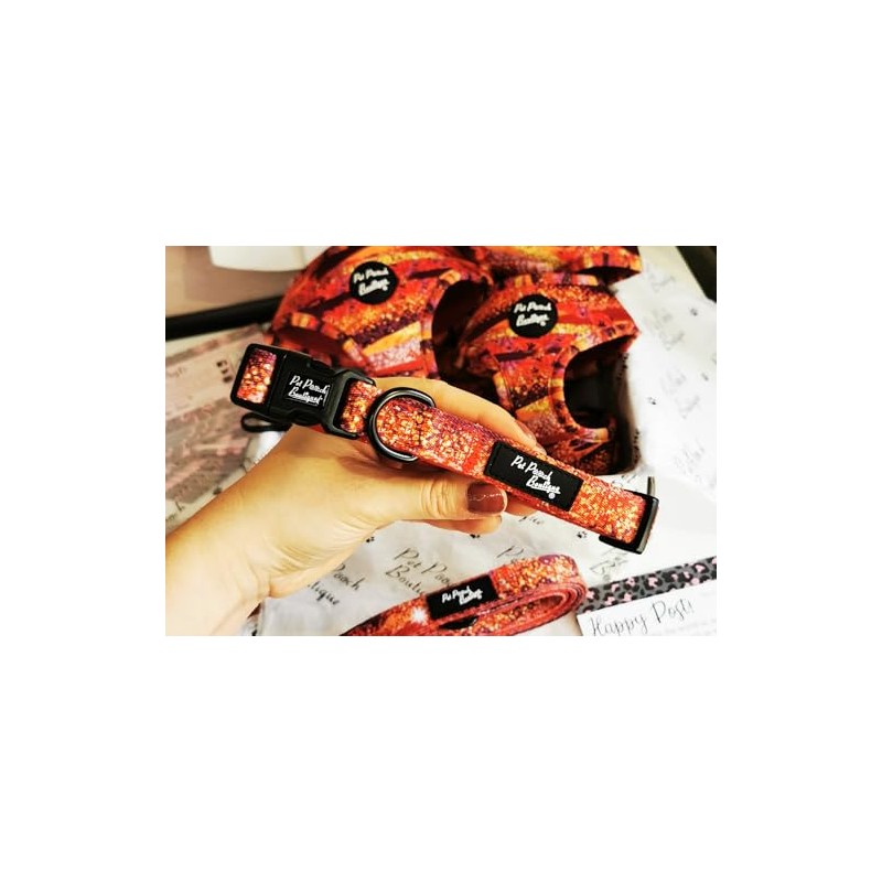 Tango Glitter Dog Collar XS