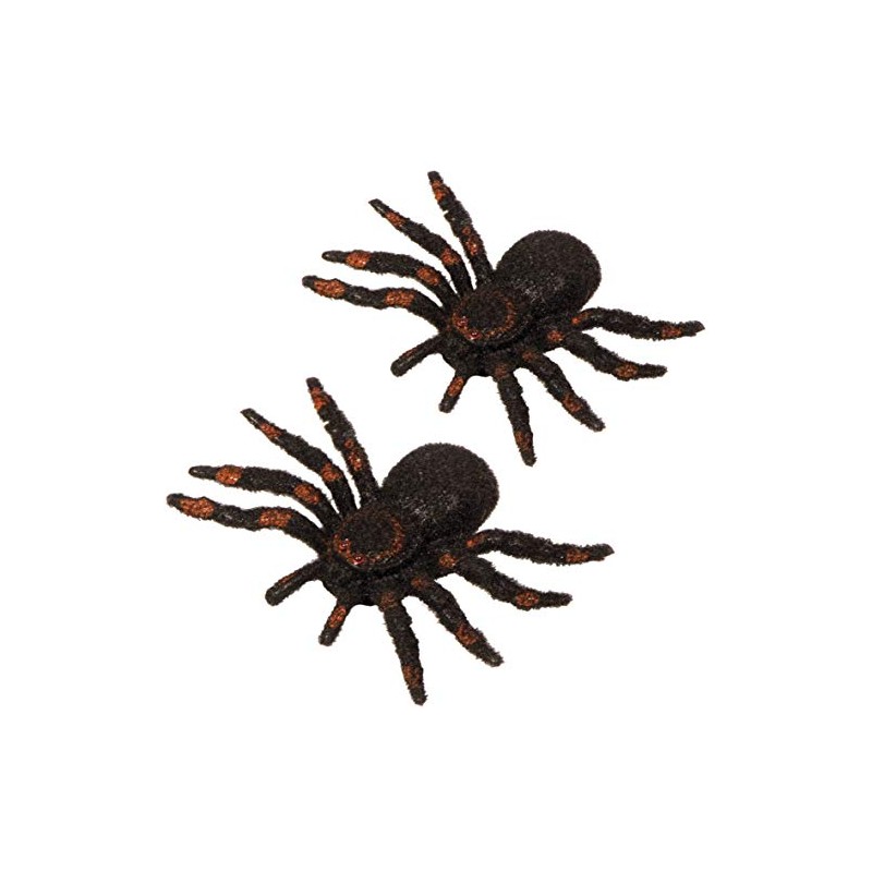 2 haarige Vogelspinnen