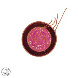 SLEEPING BEAUTY [VINYL]