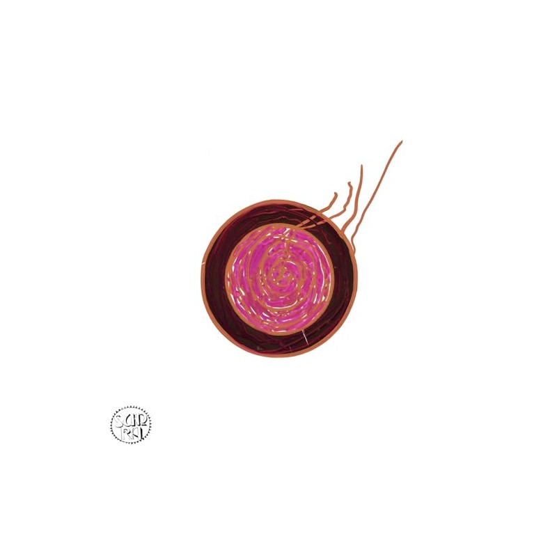 SLEEPING BEAUTY [VINYL]