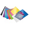 Leitz WOW 46290026 Storage Box, High-Quality Project Folder for up