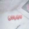 Bouvardia - Paddy / 부바르디아 - 패디
