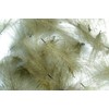 Hareline Dubbin Fishing Hook - 1/0, CDC (Cul de Canard)