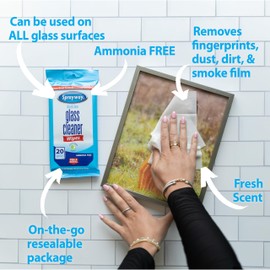 Sprayway Sprayway Glass Cleaner Wipes, 20ct, Pack of 6 | On-the-Go Resealable Package, Pre-Moistened | Original Ammonia-Free Formula | Removes Fingerprints, Dust, Dirt | All Glass Surfaces