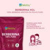 Wellthy Pure Berberine 500mg Supplement – 100% Berberis Aristata, 40
