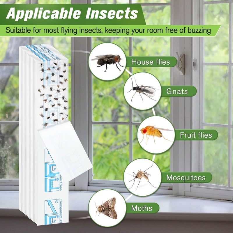 Qualirey 30 Pack XL Window Fly Traps for Indoors, Extra