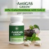 Arbora Antigas Pack Blue Green Lacteos Leguminosas Digestion