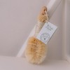 Croll & Denecke Massage Brush with Sisal Brush, Pack of