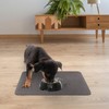 Quick Dry Absorbent Dog Food Mat, 19 x 12 in