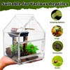 Acrylic Jumping Spider Enclosure with Magnetic Front Door - 360°
