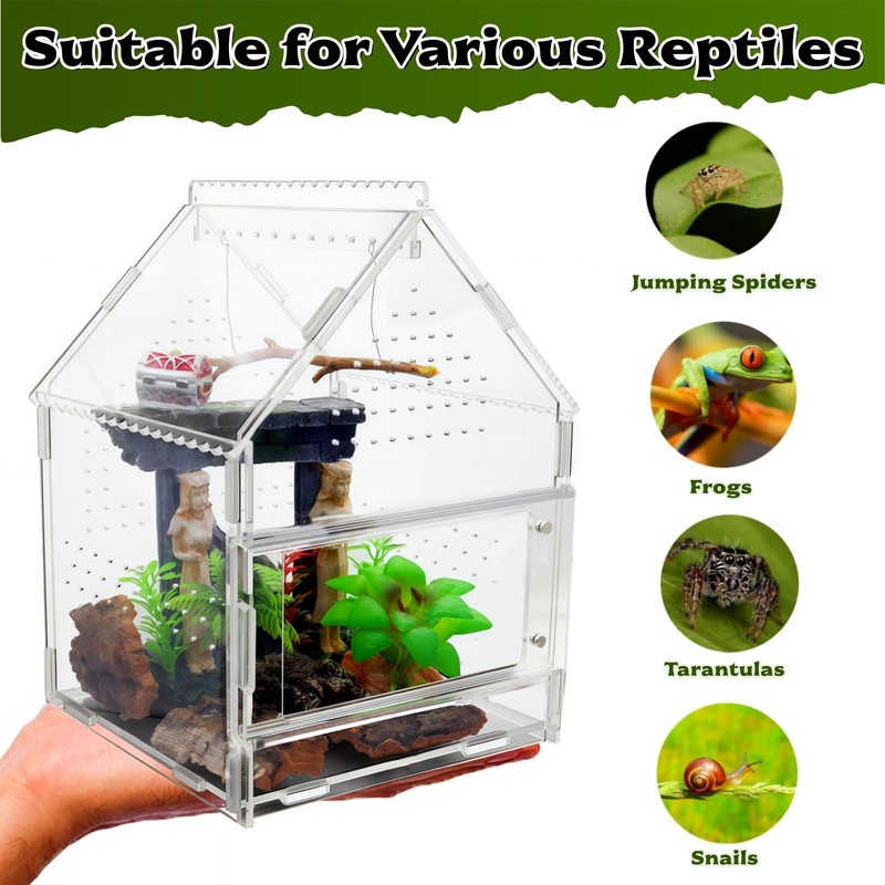 Acrylic Jumping Spider Enclosure with Magnetic Front Door - 360°