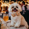 Babole Pet Fall Dog Collar with Bow Tie - Green
