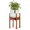 Fox & Fern Mid Century Plant Stand — 8 Inch